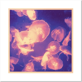 Jellyfish Posters and Art